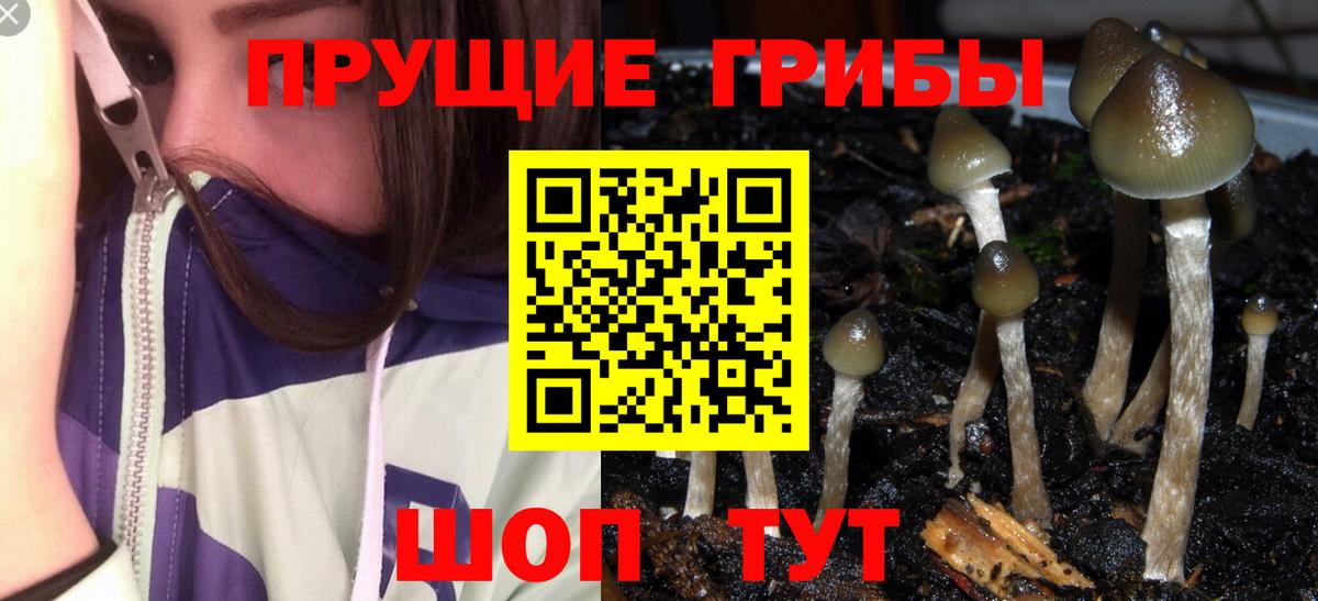 Сочи  Псилоцибиновые грибы Magic Shrooms  Вход с VPN 