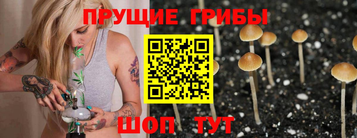 Псилоцибиновые грибы мицелий Сочи